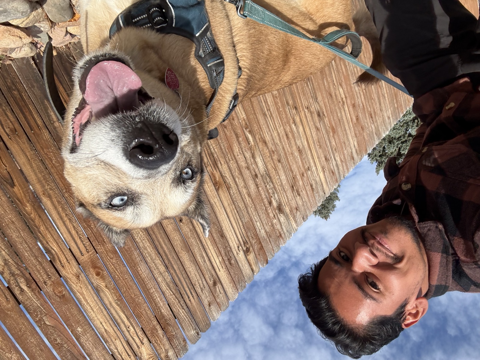 Chris Patino with a husky during a pet care visit