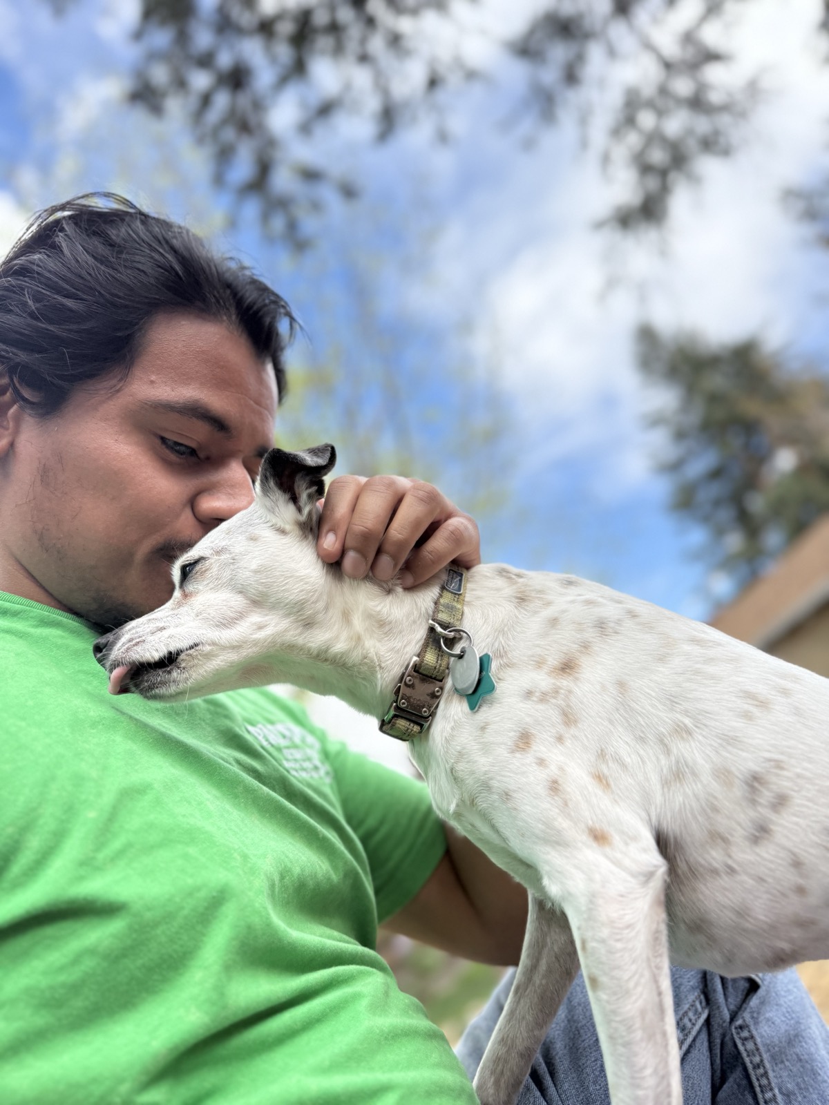 Gentle cuddle with a happy dog at home